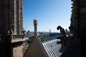 Inauguration of The Towers of Notre-Dame Cathedral - Paris