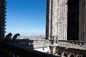 Inauguration of The Towers of Notre-Dame Cathedral - Paris