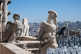 Inauguration of The Towers of Notre-Dame Cathedral - Paris