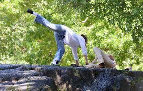 Lily James and Pierson Fode out in Central Park
