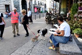 Participatory Budget - Paris