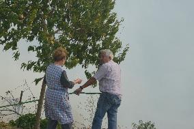 Fire in O Bolo affects more than 20 hectares