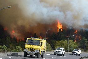 Fire in O Bolo affects more than 20 hectares