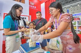 22nd China ASEAN Expo in Nanning