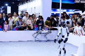 GHINA INTERNATIONAL CONLSUMER ELECTRIC EXPO 2025 in Qingdao