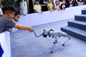 GHINA INTERNATIONAL CONLSUMER ELECTRIC EXPO 2025 in Qingdao