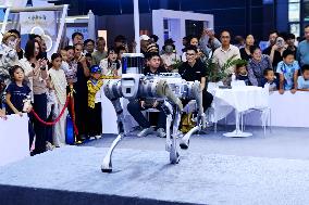 GHINA INTERNATIONAL CONLSUMER ELECTRIC EXPO 2025 in Qingdao