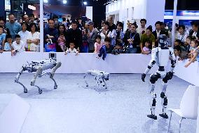 GHINA INTERNATIONAL CONLSUMER ELECTRIC EXPO 2025 in Qingdao