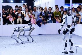 GHINA INTERNATIONAL CONLSUMER ELECTRIC EXPO 2025 in Qingdao