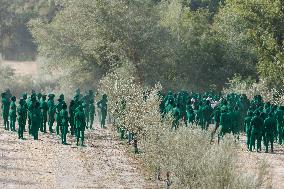 Spencer Tunick makes his first art installation in Andalucia