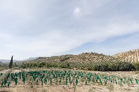 Spencer Tunick makes his first art installation in Andalucia