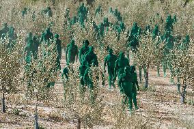 Spencer Tunick makes his first art installation in Andalucia