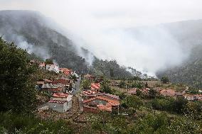 Panton Wildfire Has Already Devastated 2000 Hectares - Spain
