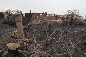 Panton Wildfire Has Already Devastated 2000 Hectares - Spain