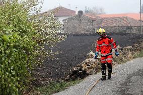 Panton Wildfire Has Already Devastated 2000 Hectares - Spain