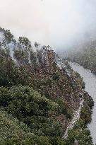 Panton Wildfire Has Already Devastated 2000 Hectares - Spain