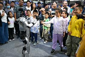 2025 WMC Held in Hefei