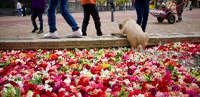 International Art Biennale BOG25 - Song of the River