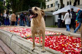 International Art Biennale BOG25 - Song of the River