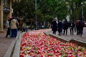 International Art Biennale BOG25 - Song of the River