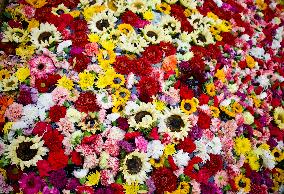 International Art Biennale BOG25 - Song of the River