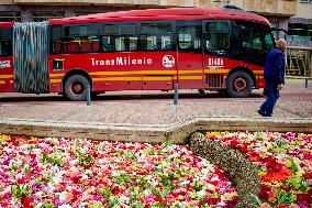 International Art Biennale BOG25 - Song of the River