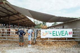 15th edition of Welcome to the Countryside - Montbeton