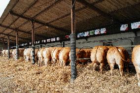 15th edition of Welcome to the Countryside - Montbeton