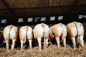 15th edition of Welcome to the Countryside - Montbeton