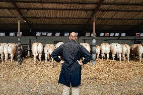 15th edition of Welcome to the Countryside - Montbeton