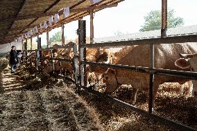 15th edition of Welcome to the Countryside - Montbeton