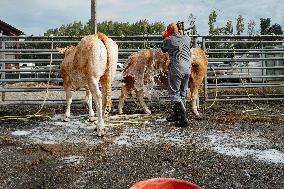 15th edition of Welcome to the Countryside - Montbeton