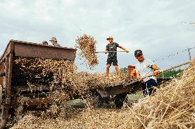 15th edition of Welcome to the Countryside - Montbeton