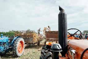 15th edition of Welcome to the Countryside - Montbeton