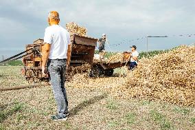 15th edition of Welcome to the Countryside - Montbeton