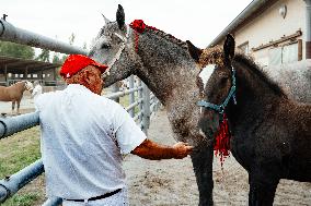 15th edition of Welcome to the Countryside - Montbeton