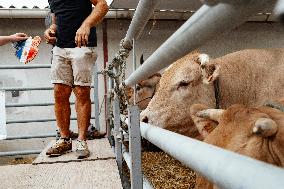 15th edition of Welcome to the Countryside - Montbeton