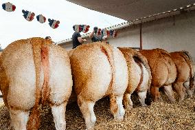 15th edition of Welcome to the Countryside - Montbeton