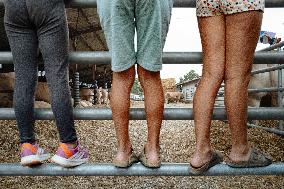 15th edition of Welcome to the Countryside - Montbeton