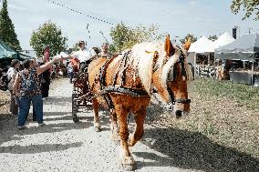 15th edition of Welcome to the Countryside - Montbeton