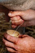 15th edition of Welcome to the Countryside - Montbeton