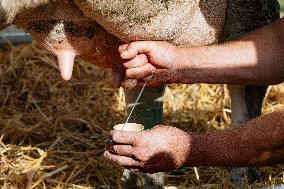 15th edition of Welcome to the Countryside - Montbeton