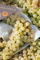 15th edition of Welcome to the Countryside - Montbeton