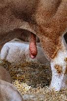 15th edition of Welcome to the Countryside - Montbeton