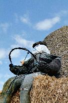 15th edition of Welcome to the Countryside - Montbeton