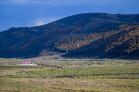 Autumn scenery of the Hanshan Mountain
