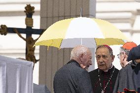 Pope Leo XIV leads an audience as part of the Jubilee of Justice - Vatican