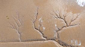 Elk National Nature Reserve in Yancheng