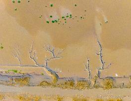 Elk National Nature Reserve in Yancheng