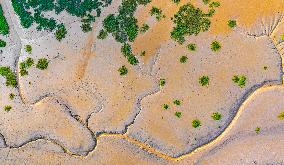 Elk National Nature Reserve in Yancheng